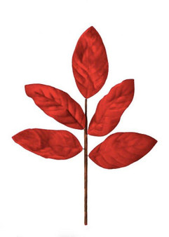 Deluxe Magnolia Velvet Winter Leaves In Red - 20" Tall (Bundle Of 6)