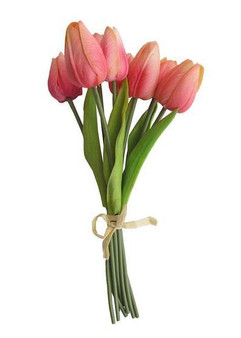 Coral Yellow Soft Touch Tulip Bundle - 10" Tall