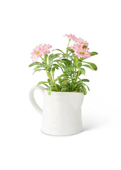 Pink Silk Daisy Arrangement In Pitcher Vase - 5.5" Tall (Bundle Of 2)