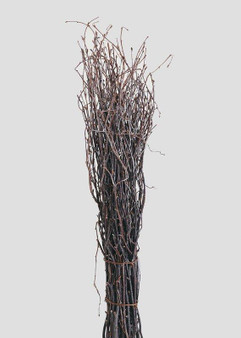 Natural Grapevine Twig Bundle - 25" Tall