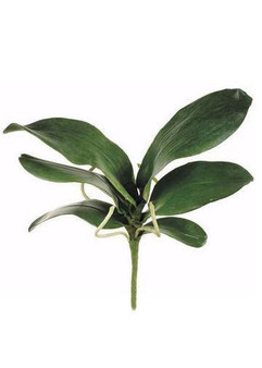 Artificial Phalaenopsis Orchid Leaves Plant - 15"