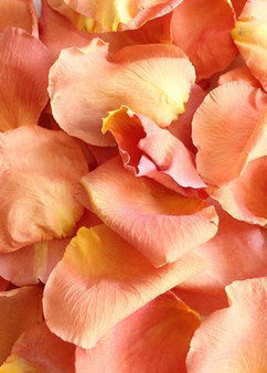 Peach Freeze Dried Rose Petals