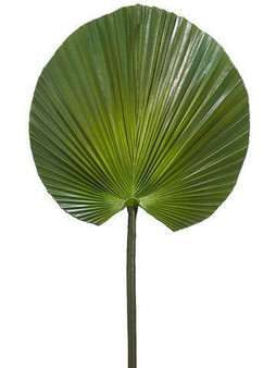 Large Fan Palm Artificial Tropical Leaf - 31"