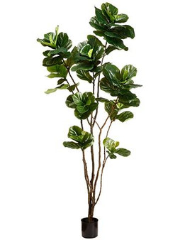 8' Fiddle Leaf Tree In Pot Green 2 Pieces LTF008-GR