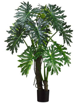 5' Eva Plume Split Leaf Plant Green 2 Pieces LPP105-GR
