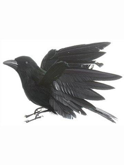 8.5" Crow With Open Wings Black 12 Pieces AAF211-BK