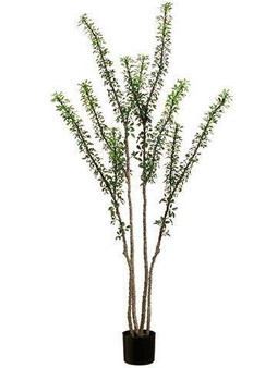 5' Camel Whip Tree In Pot Green 2 Pieces LTC105-GR