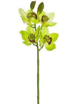19" Cymbidium Orchid Spray Green Burgundy 12 Pieces HSO047-GR/BU