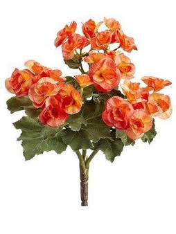 10" Begonia Bush X3 Orange 12 Pieces FBB841-OR