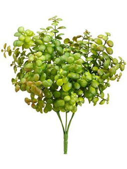 12" Jade Plant Green Burgundy 24 Pieces CM4681-GR/BU