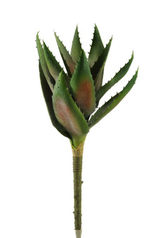 16.5" Green Aloe (GR1872)