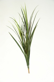 36" Long Grass (GR1753)