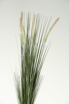 35" Two Tone Onion Grass With Cream Dogstail (GR1527)