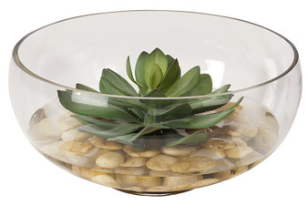 Extra Large Frosted Green Echeveria In Glass Bowl (197026)
