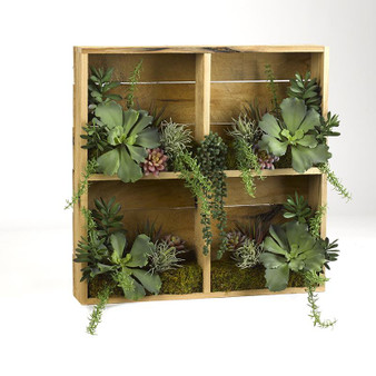 Wooden Shadow Box With Assorted Greenery And Succulents (191050)
