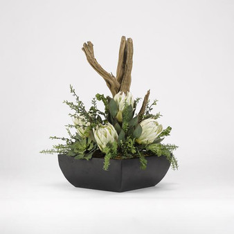 Green King Proteas With Assorted Succulents And Foliage In Square Metal Planter (189079)