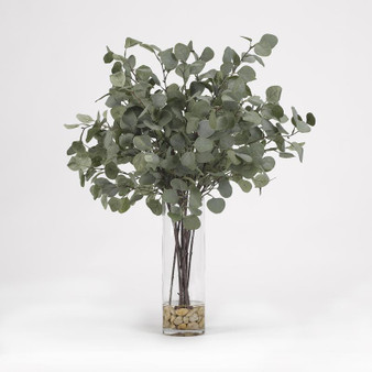 Silver Dollar Eucalyptus In Glass Cylinder (189068)