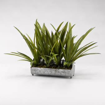 Orchid Foliage In Rectangle Metal Planter (187017)