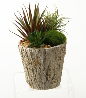 Easter Grass And Succulents In Weathered Oak Look Cement Planter (161073)