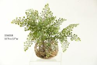 Flat Iron Fern In Glass Bowl With Seagrass Netting (156018)