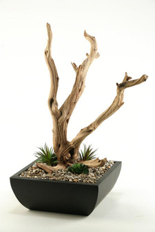 Ghostwood Branches In Square Metal Planter (154186)