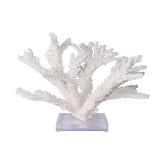 Branch Coral 15-16 Inch On Acrylic Base (8075-XL)