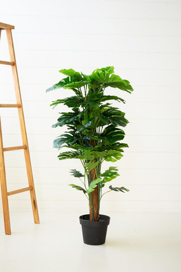 Artificial Monstera Plant In A Plastic Pot Large