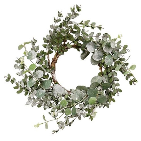 Snowy Eucalyptus Wreath 18" FT28673