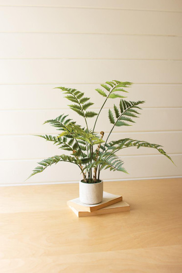 Artificial Fern In A Cement Pot - 28T (CYF1357)