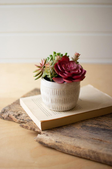 Mixed Colorful Artificial Succulents In Textured Ceramic Pot (CYF1381)