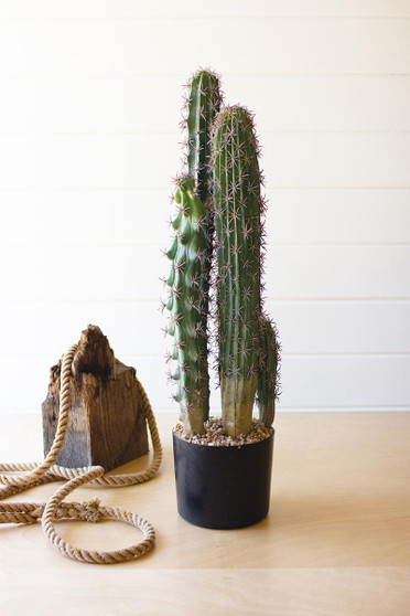 Artificial Cactus In A Black Plastic Pot With Five Stems (CYF1384)