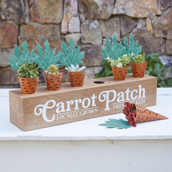 Carrot Patch Display Box 440213