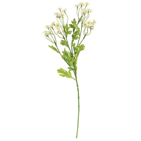 Chamomile Flower Spray White F18125