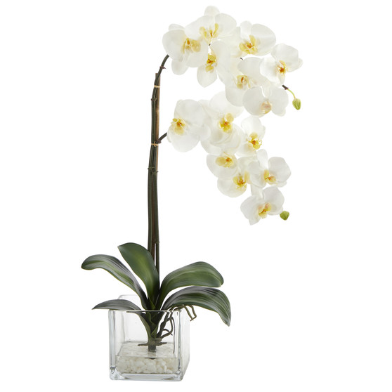 21" Phalaenopsis Orchid Artificial Arrangement In Glass Vase (A1423)