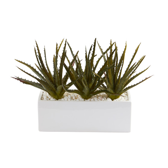 11" Aloe Succulent Artificial Plant In White Planter (P1279)