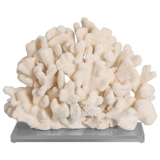 Cauliflower Coral 12-15 Inch On Acrylic Base (8077-L)