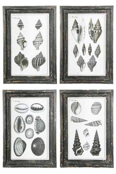 Wood Rectangle Wall Art On Distressed Frame With Glass, Different Kinds Of Shells Printed Design And Metal Back Hangers Assortment Of Four Painted Finish Gray (Pack Of 4) 17902-AST