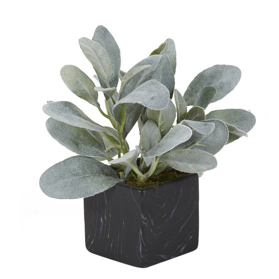 Lamb'S Ear In Black Marbled Ceramic Cube (201020)