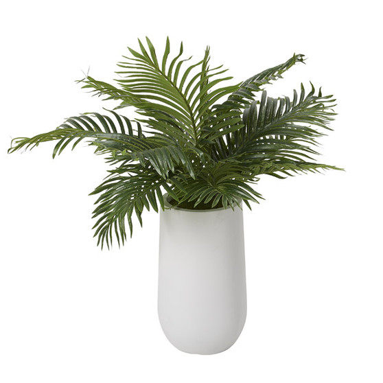 3' Hawaiian Palm Fronds In Round White Resin Planter (320402)