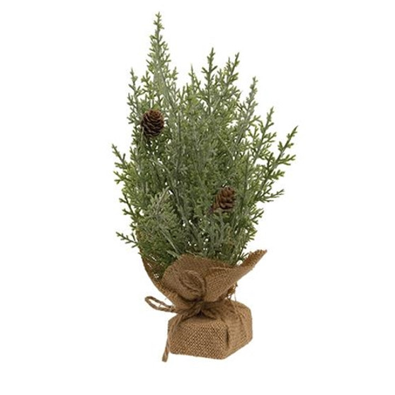 Frosted Woodland Cedar Tree With Burlap Base 12" F18273