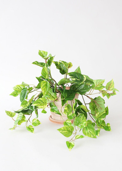 Indoor/Outdoor Uv Protected Fake Pothos Plant - 20" SLK-PBP202-GR/WH