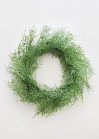 Outdoor Plastic Asparagus Fern Wreath - 26" REG-MTF23534-TTGR