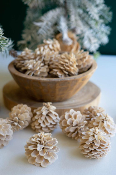 Bag Of Bleached Pine Cones (Pack Of 6) (NGLB1053)