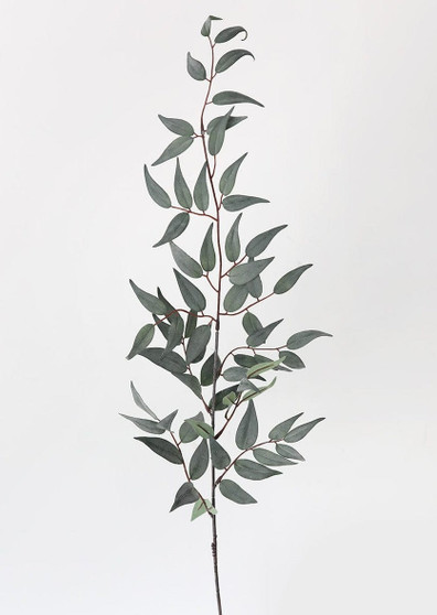 Artificial Italian Ruscus Leaf Branch - 36" SLK-PSR247-GR