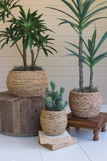 Set Of Three Woven Rush Baskets With Wooden Frame (CGRA1061)