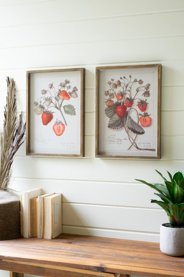 Set Of Two Framed Strawberry Prints Under Glass (CMK1205)
