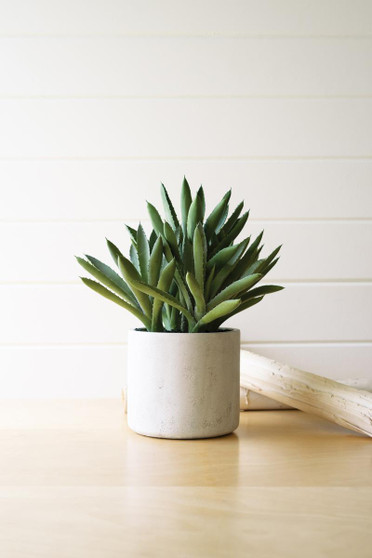 Artificial Aloe Succulent In A Cement Pot (CYF1450)