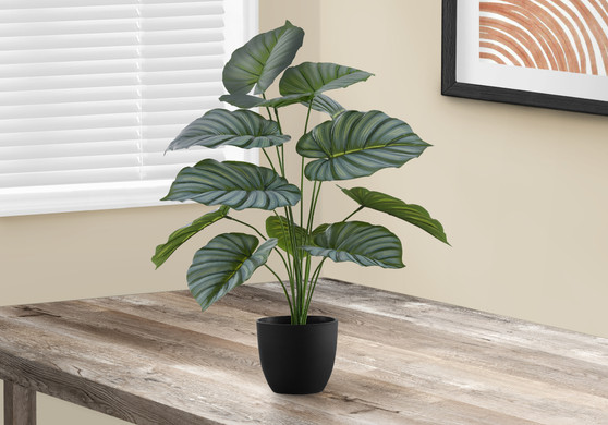 24" Tall Decorative Calathea Artificial Plant - Black Pot (I 9577)