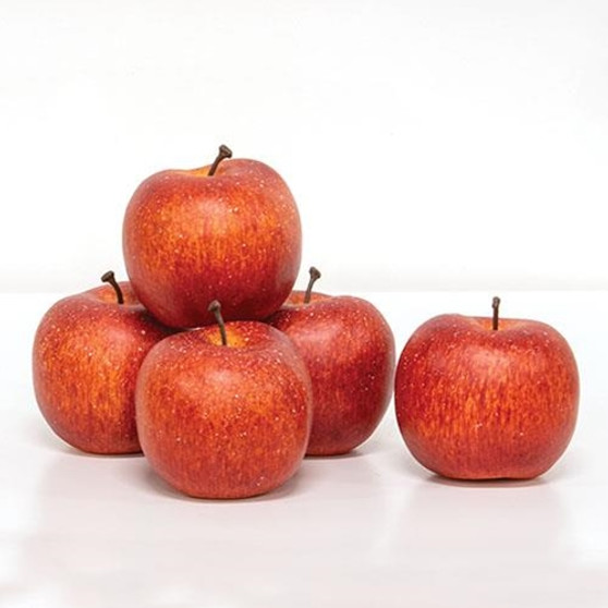 Set Of 5 Red Apple Bowl Fillers FSR6687R