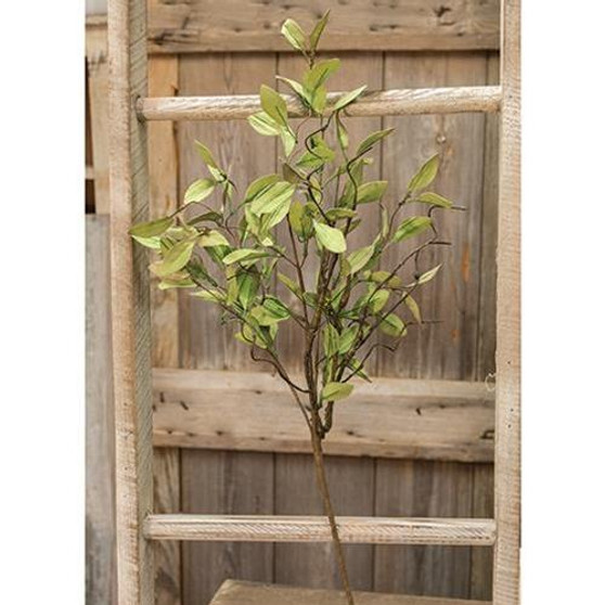 Sage Leaves & Twigs Spray 25" FISB72683 By CWI Gifts